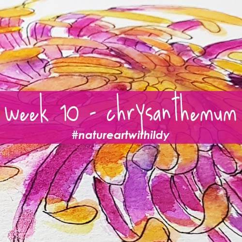 NATUREART AUTUMN week 10 CHRYSANThEMUM