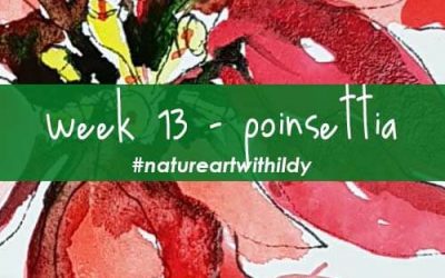 NATUREART AUTUMN week 13 POINSETTIA