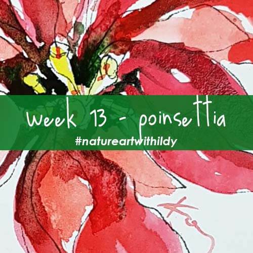 NATUREART AUTUMN week 13 POINSETTIA