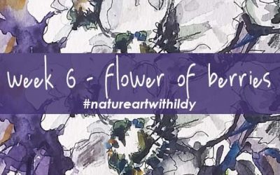 NATUREART AUTUMN week 6 flowers of the berries