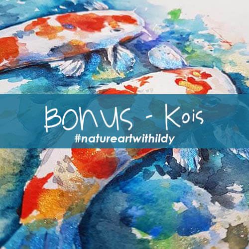 10 KOI bonus 22 Colibri